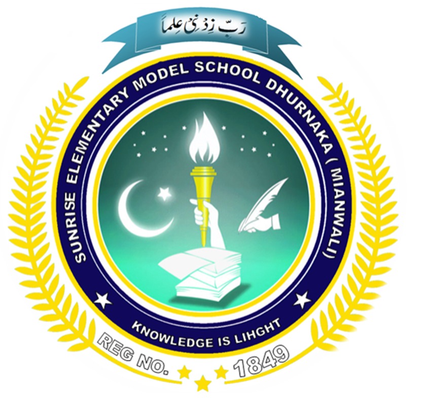 Smart National College Logo